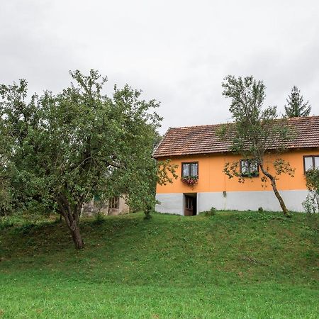 Kuca Za Odmor Jagnjic Appartement Josipdol Buitenkant foto