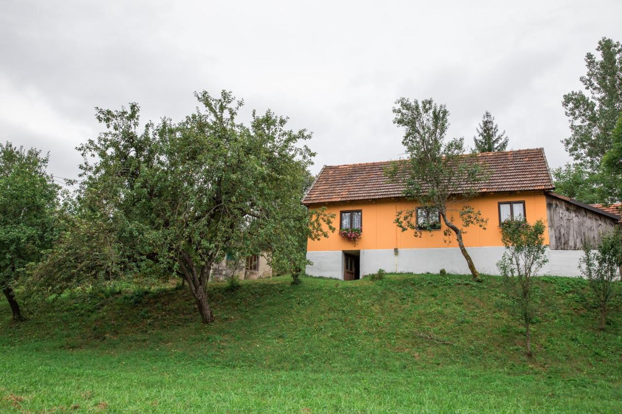 Kuca Za Odmor Jagnjic Appartement Josipdol Buitenkant foto